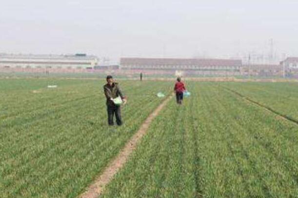 中国农业农村改革发展成效显著