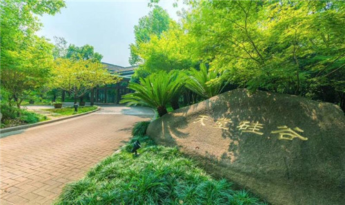 三年投资规模50亿，打造绿色金融新高地 天堂硅谷区域总部落户青岛西海岸新区绿色金融中心  