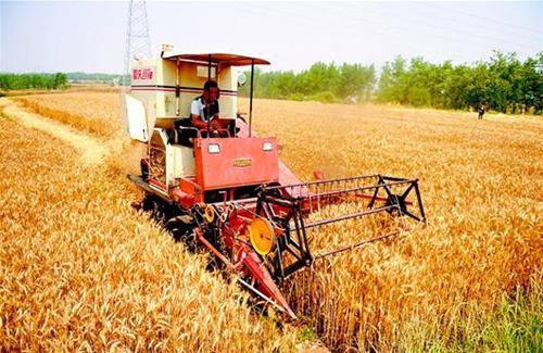 全国小麦陆续进入集中收获期 力保夏粮颗粒归仓