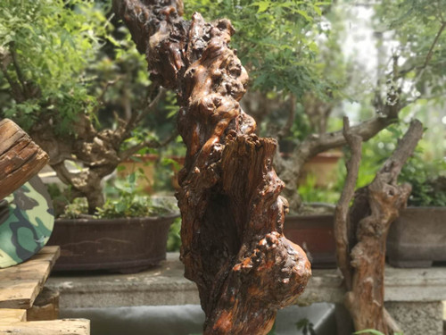 20200623144558446.jpg 微信图片_20200623144543.jpg