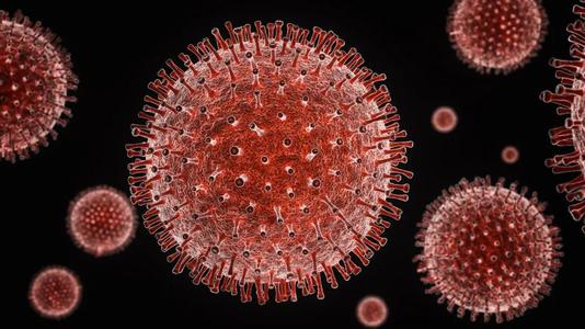 中国科学家在新型冠状病毒抗体研究中取得重大突破