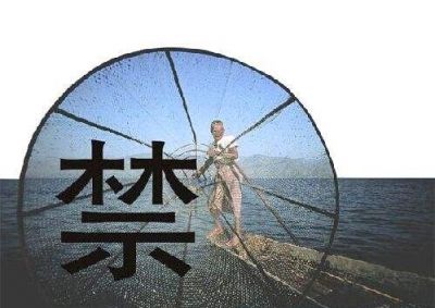 守护母亲河重现生机——多部门回应长江禁捕热点问题