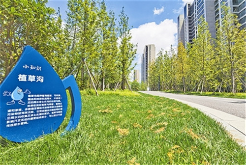 青岛海绵城市建设：“国考”获佳绩