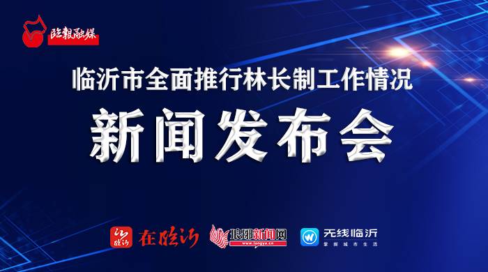 临沂制作推广短视频,临沂制作推广短视频的公司