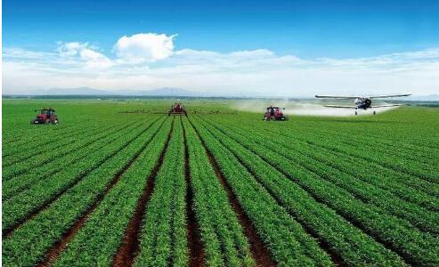 2023年第3批农业行业标准（种植业种业）评审会在京召开