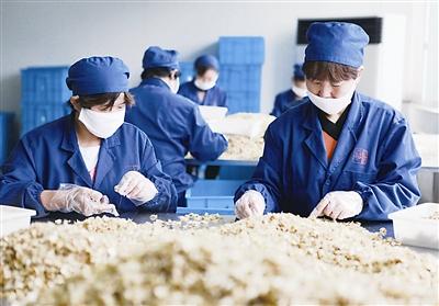 黑龙江：全省包保帮扶600户重点工业企业稳产增产