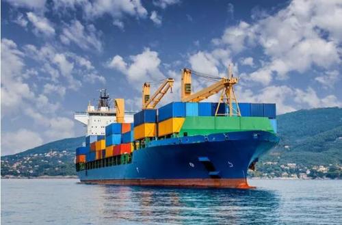 2020年上半年国内沿海货运船舶运力分析报告发布