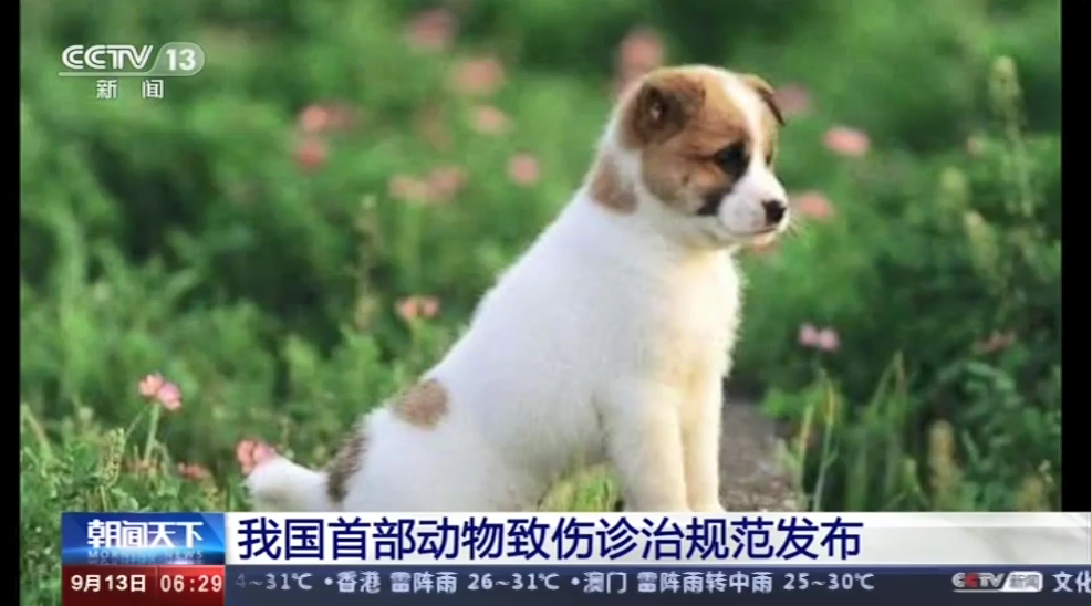 中国首部动物致伤诊治规范