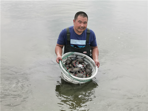 以蟹为媒，农旅融合，旅投集团帮扶谱写乡村振兴新篇章