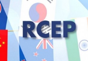 全国贸促系统已签发RCEP项下原产地证书超20万份