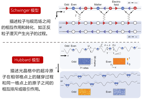 量子计算和量子模拟研究获重要突破： 中国科大在71个格点的超冷原子量子模拟器中成功求解施温格方程