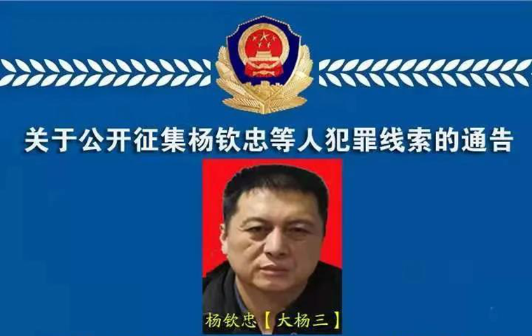 关于公开征集杨钦忠等人犯罪线索的通告