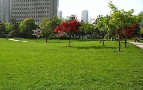 《山西省城市绿化办法》发布 新建居住区绿地占地面积比例不低于30%