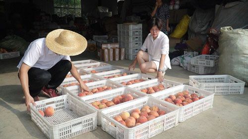 20201210112700908.jpg 3.jpg