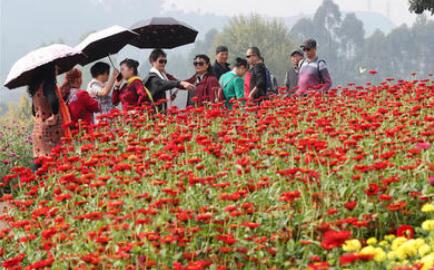 河北蔚县“白六堡”：打造乡村振兴的“红飘带”