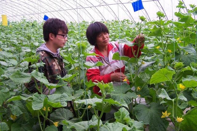 湖南省十年累计培育高素质农民27.6万人