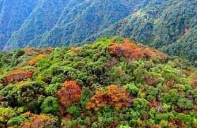 谁污染谁治理，谁保护谁受益，让山更青水更绿　进一步健全横向生态保护补偿机制