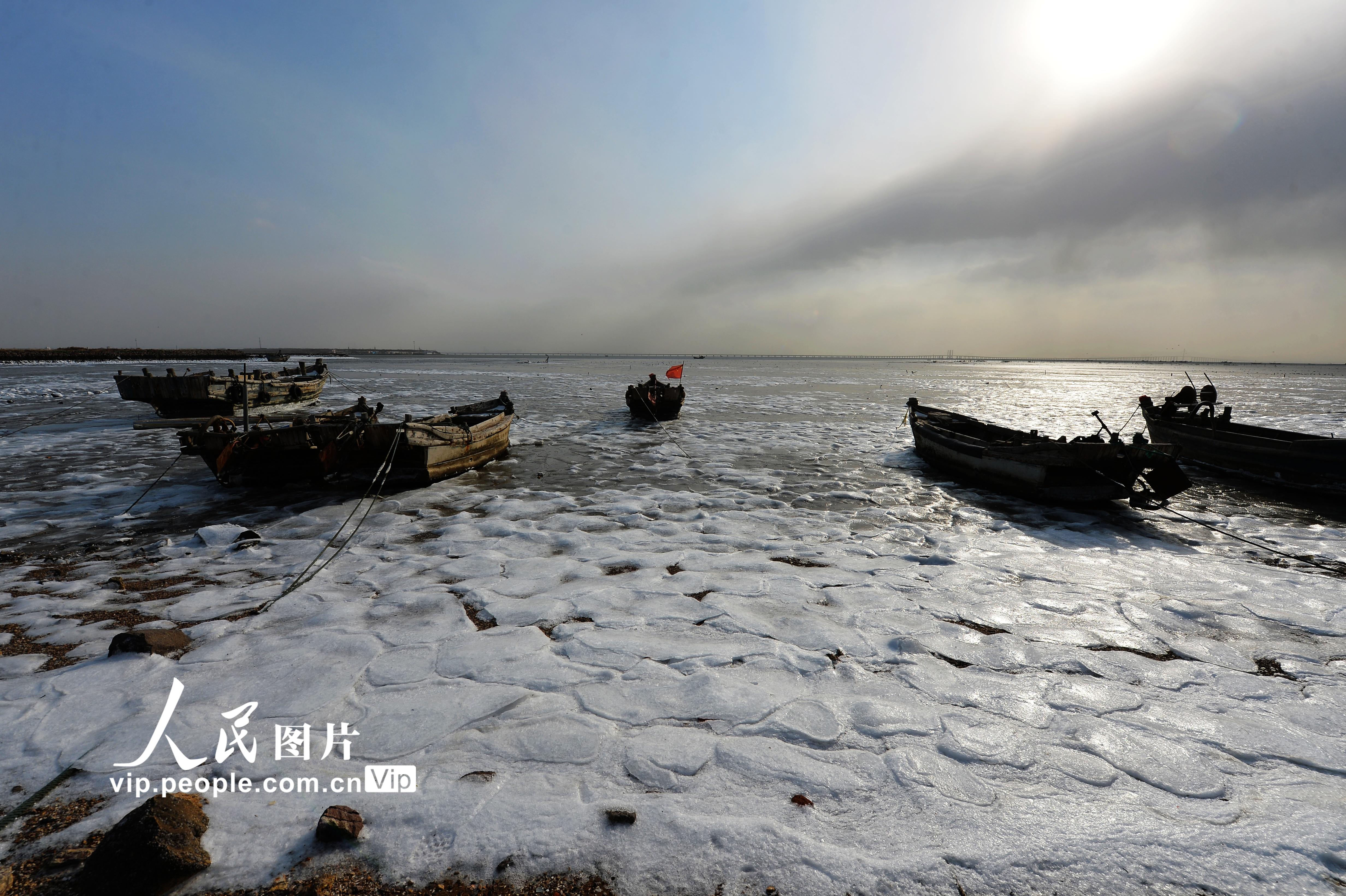 寒潮来袭 山东青岛沿海滩涂开始封冻