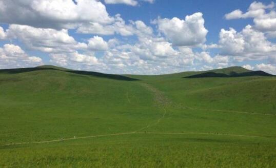内蒙古阿鲁科尔沁旗打造“中国草都”