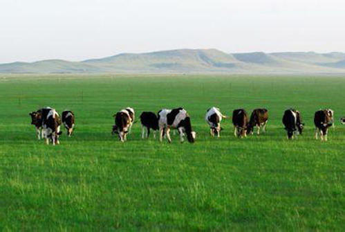 内蒙古鄂尔多斯市地区生产总值达4127.71亿元