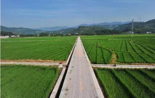 农村土地经营权流转四问——解析《农村土地经营权流转管理办法》亮点