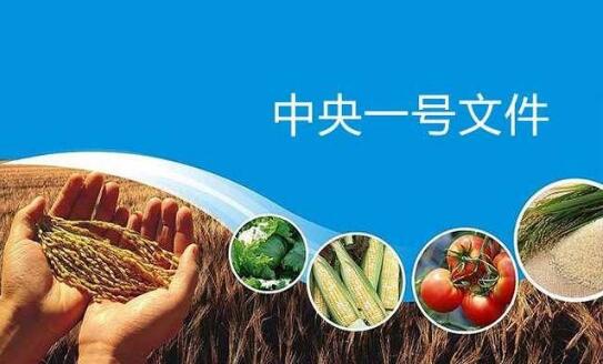 不断夯实农业基础 加力推进乡村振兴——解读2025年中央一号文件