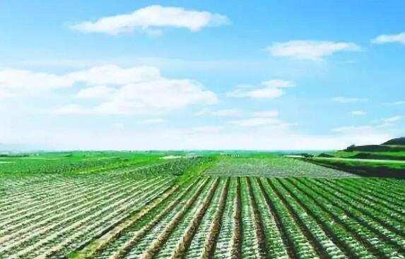 近期大部地区气温偏高 专家分析对农业生产利大于弊