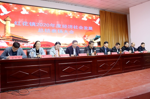 郯城县红花镇召开2020年度经济社会发展总结表扬大会