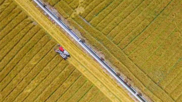 安徽省出台方案防止耕地“非粮化”