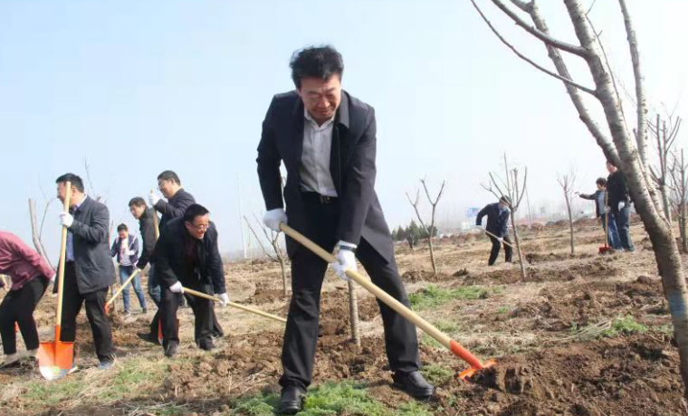 兰陵县开展“3.12”植树节活动