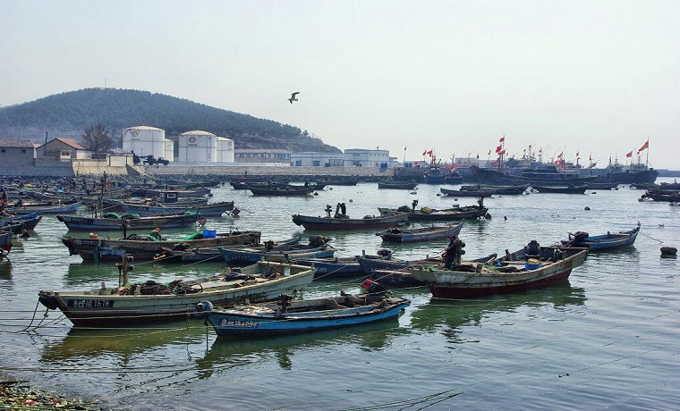 山东5月1日12时进入伏季休渔期 开展十大专项执法行动
