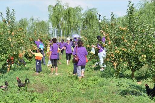 河北省发布15条休闲农业精品旅游线路