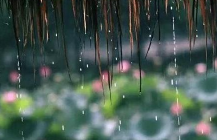 安徽江淮之间进入梅雨期 今明两天雨带南北摆动局部有大暴雨