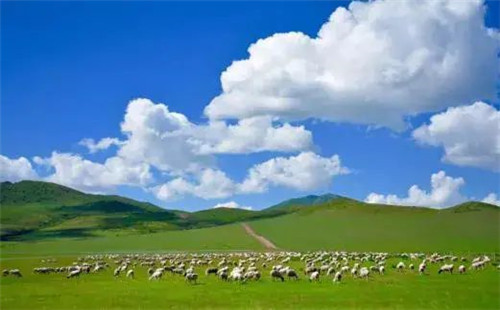 遇见塞外风光，争做天骄少年！鲁网小记者内蒙古研学亲子游之旅开始啦！