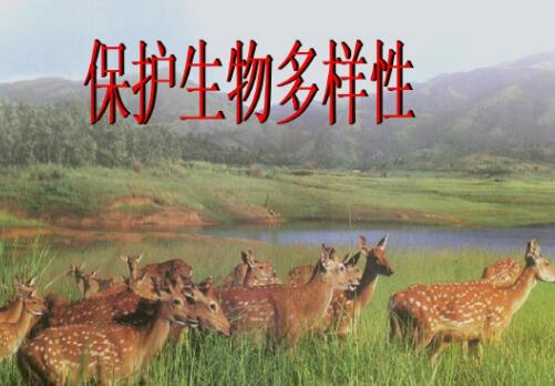 综述：保护生物多样性的“中国案例”获多国生态专家点赞