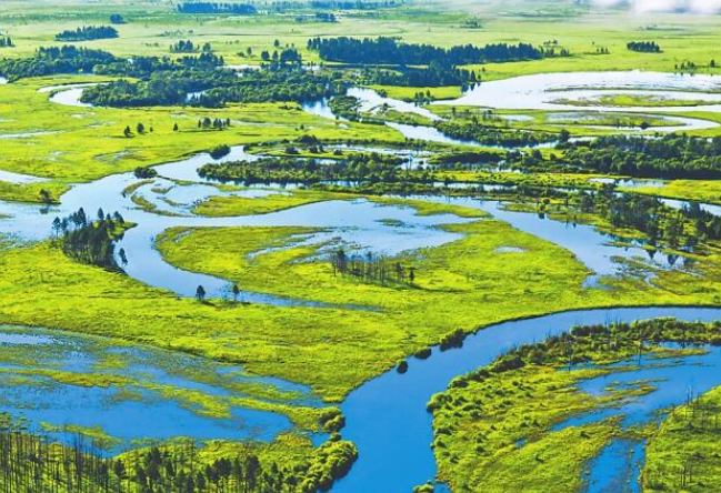 湿地保护法草案二审稿提请审议 拟对严重破坏自然湿地等违法行为加大处罚力度
