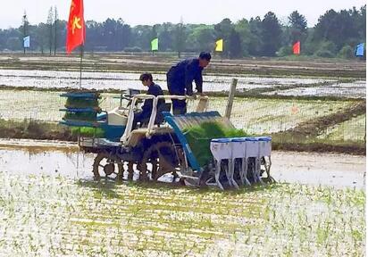 农业农村部部署南方水稻机械化种植推进工作