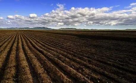 黑土耕地保护性补贴提高农民实施积极性