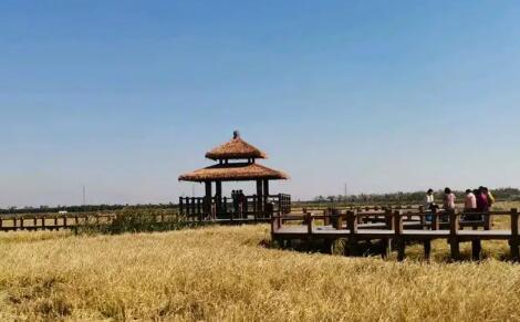 天津市发布5条休闲农业与乡村旅游精品线路