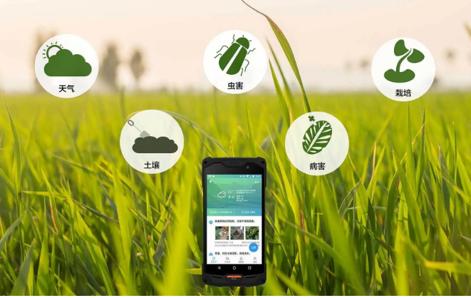 乡村振兴这一年：数字经济打通农产品供需信息天堑