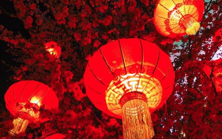 活力旺盛 增益全球——世界欢迎中国春节消费热潮
