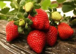 “中国草莓之都”安徽省长丰县：“数字草莓”推动产业转型升级