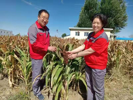 曹坤（左）深入原料基地调研（资料片）.jpg