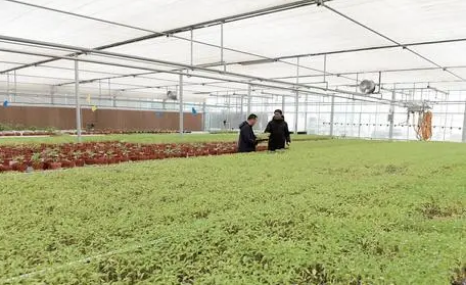 青海省现代农业产业园带动20余万农牧民增收