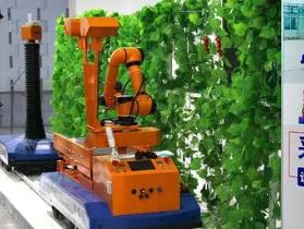 需求量持续增长 农业机器人向高度智能化前进