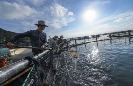 国务院新闻办公室发布《中国的远洋渔业发展》白皮书