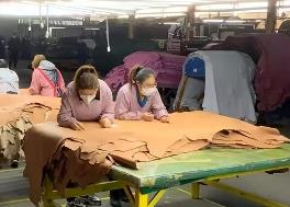 中国皮革协会联合国际皮革行业组织呼吁：优先采用天然皮革材料缓解气候变化