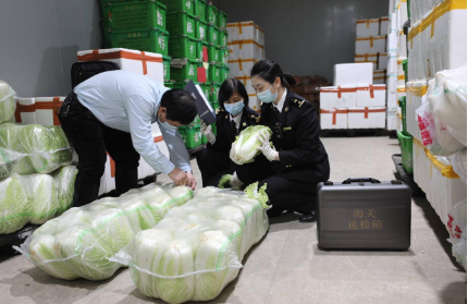湖南蔬菜出口首次突破百亿元 居全国第二位