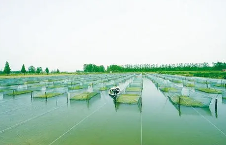 湖北省淡水水产品产量连续27年居全国第一