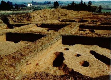 骆驼墩遗址：填补太湖西部7000年前考古学文化空白